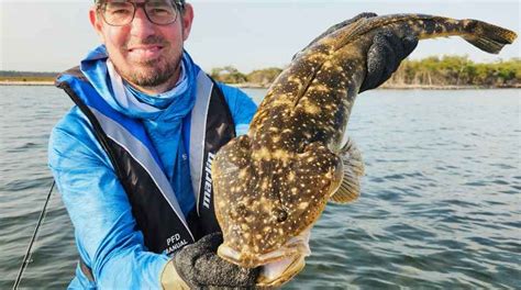 ohio game and fish|Here it is Operation Mudcat (Flathead) .